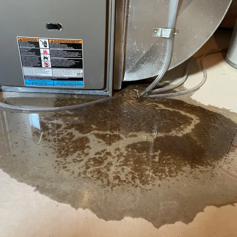 Appliance Leak Cleanup in Dodge Center, MN