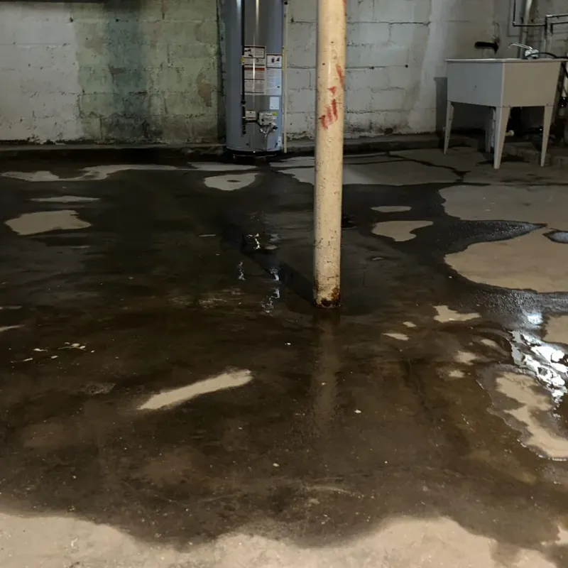 Emergency Water Extraction And Removal in Dodge Center, MN